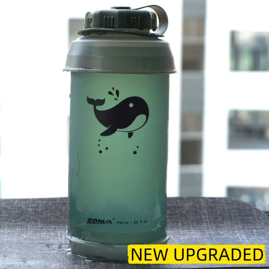 Portable water bottle