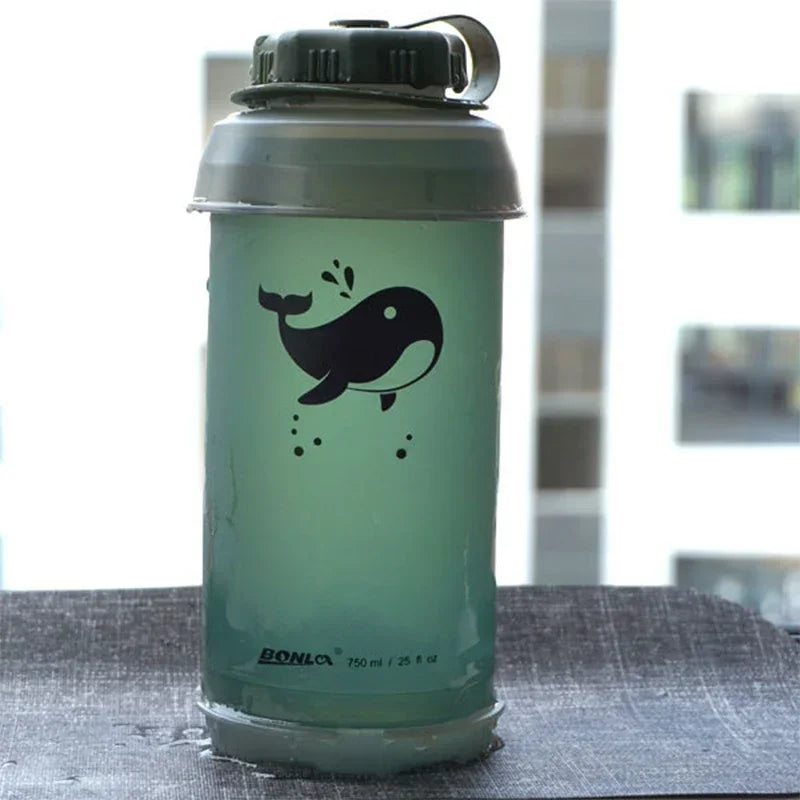 Portable water bottle